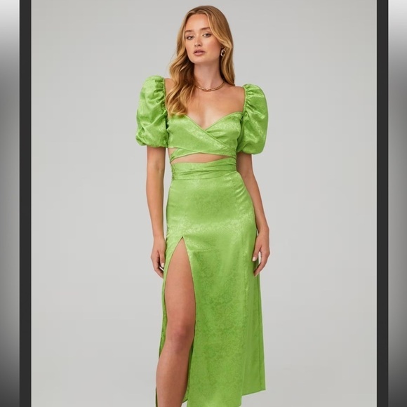 Ronny Kobo Collection Dresses & Skirts - SET Ronny Kobo NWT Green Zano top & Marlo Maxi High Slit Skirt Set ($706) SMALL